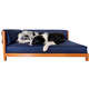Cama Snooze Zazu
