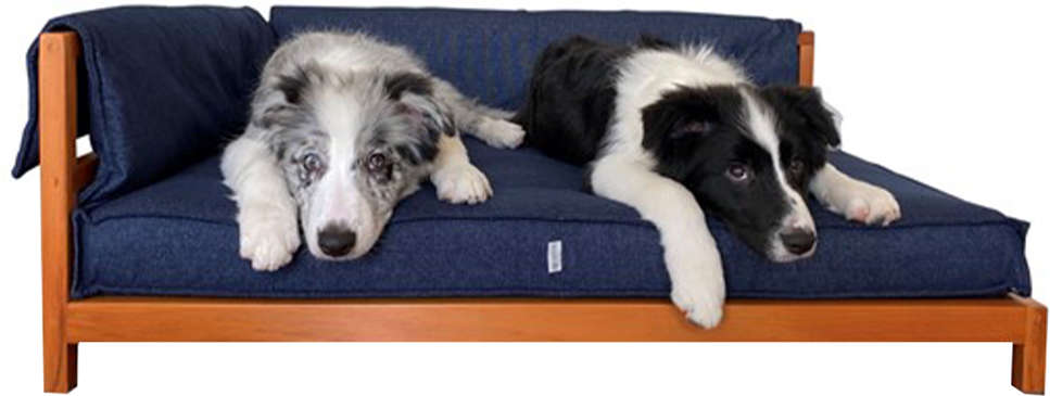 Cama Snooze Zazu - Tam. M