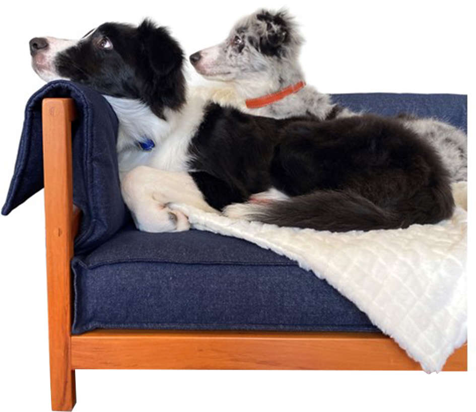 Cama Snooze Zazu - Tam. M
