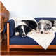 Cama Snooze Zazu