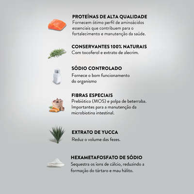 Ração Seca Quatree Life Salmão e Arroz Cães Adultos Raças Pequenas