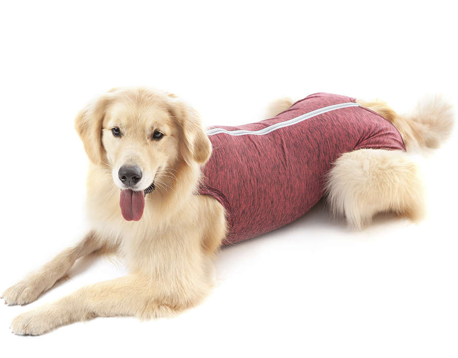 Roupa Pós Castração Pet Med Duo Dry Rosa Regular para Cães - Tam. 16