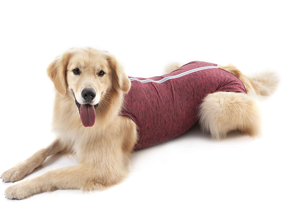 Roupa Pós Castração Pet Med Duo Dry Rosa Regular para Cães - Tam. 16