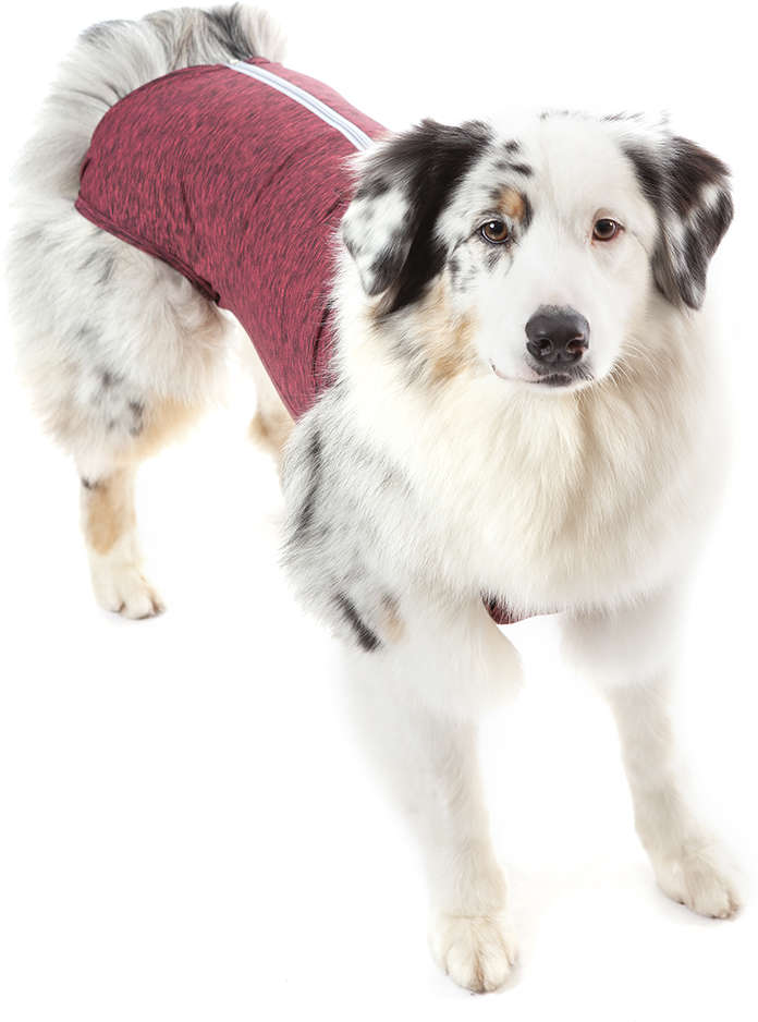 Roupa Pós Castração Pet Med Duo Dry Rosa Regular para Cães - Tam. 16
