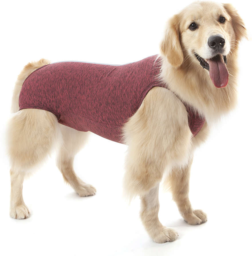 Roupa Pós Castração Pet Med Duo Dry Rosa Regular para Cães - Tam. 16