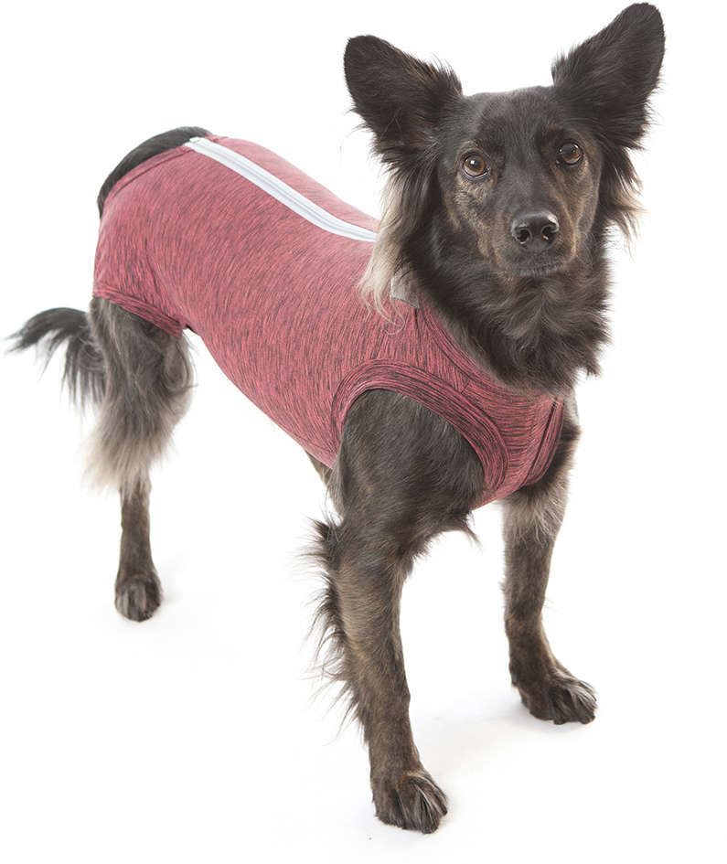 Roupa Pós Castração Pet Med Duo Dry Rosa Regular para Cães - Tam. 16
