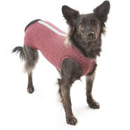 Roupa Pós Castração Pet Med Duo Dry Rosa Regular para Cães - Tam. 00