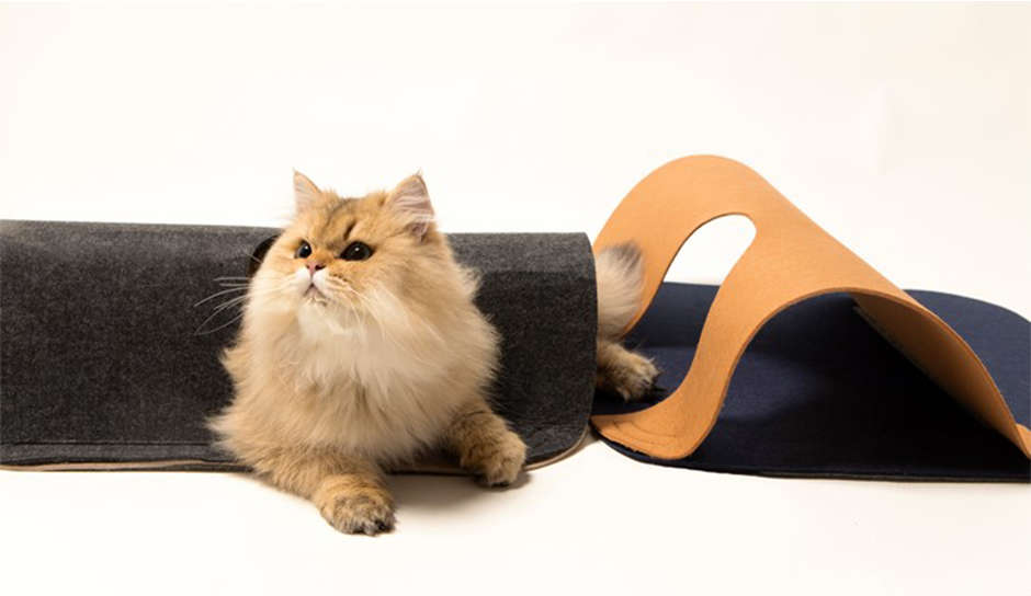 Brinquedo Interativo Pidan Túnel para Gatos - Tam. Único