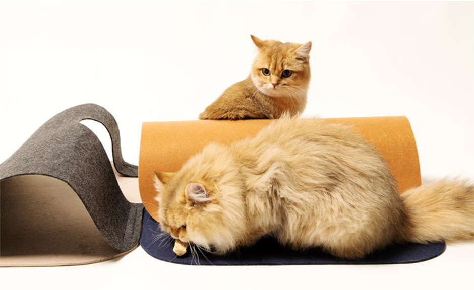 Brinquedo Interativo Pidan Túnel para Gatos - Tam. Único