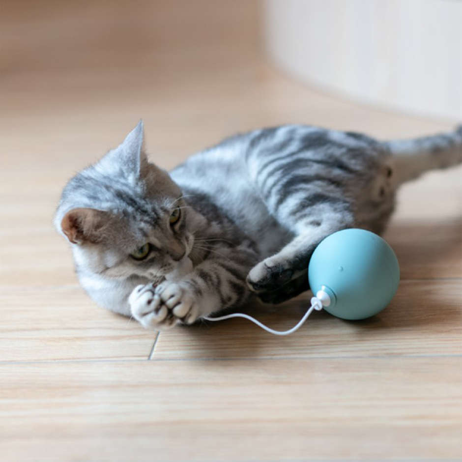 Brinquedo Interativo Pidan Balão Eletrônico para Gatos - Tam. Único