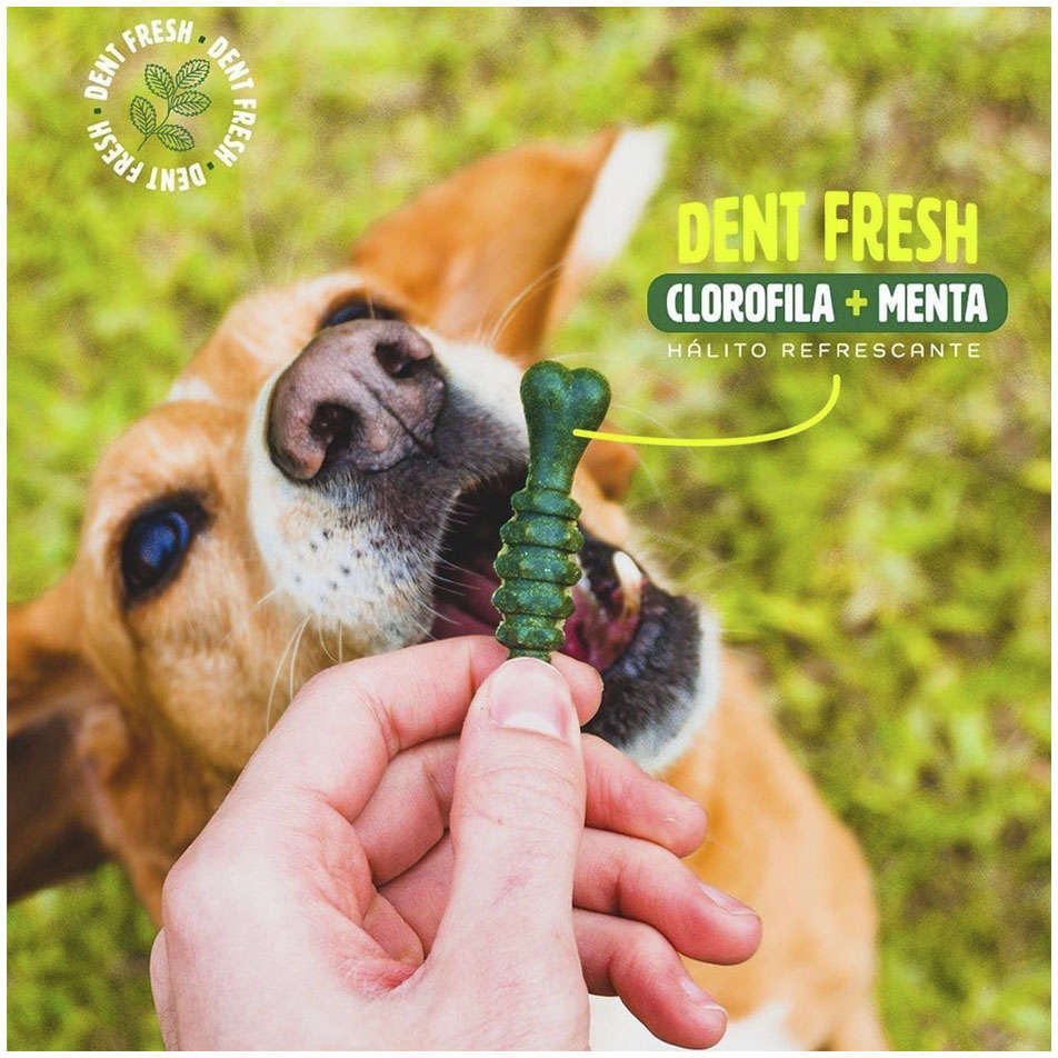 Petisco Dentalight Dent Fresh Clorofila e Hortelã para Cães - 150 g