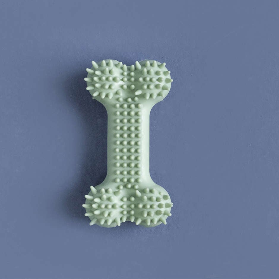 Brinquedo Osso com Cerdas Verde para Cães - Tam. Único