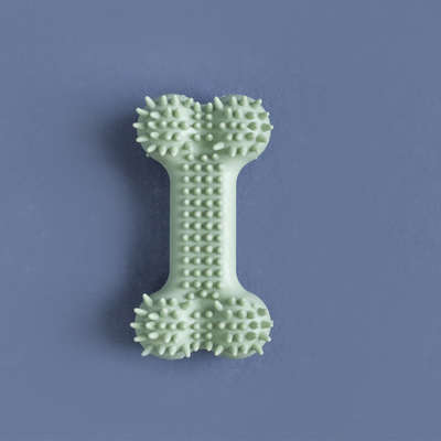 Brinquedo Osso com Cerdas Verde para Cães