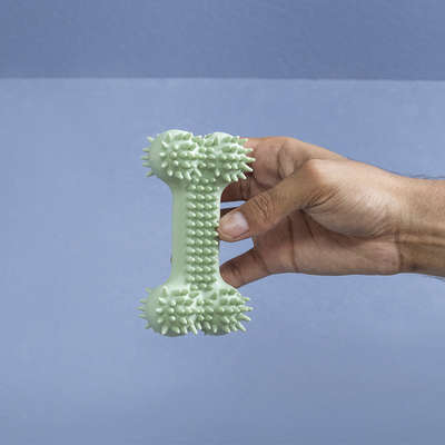 Brinquedo Osso com Cerdas Verde para Cães