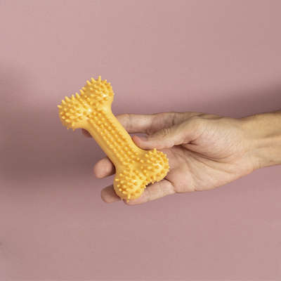 Brinquedo Osso com Cerdas Amarelo para Cães