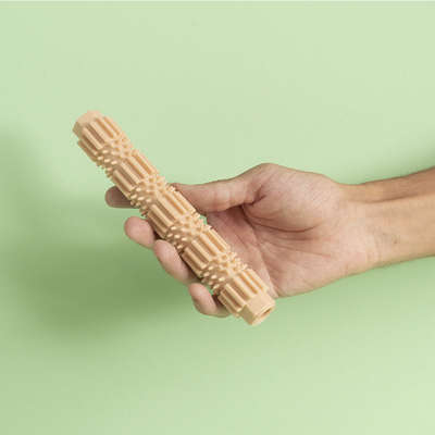 Brinquedo Bastão com Cerdas Interativo para Cães