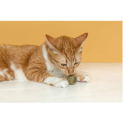 Catnip Oikos Animal Bolinha Maciça para Gatos