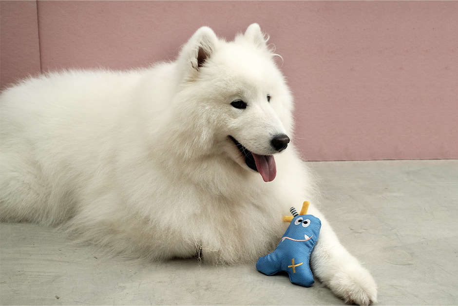 Brinquedo Pelúcia Monstro Sustinho para Cães e Gatos - Tam. Único
