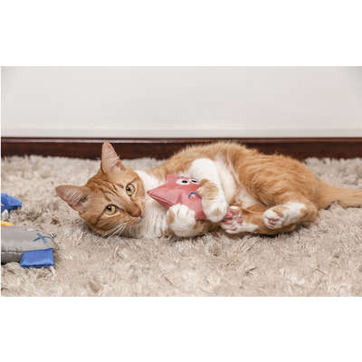 Brinquedo Pelúcia Monstro Surpresinha para Cães