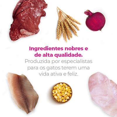 Ração Seca Fellina Sabores para Gatos Adultos