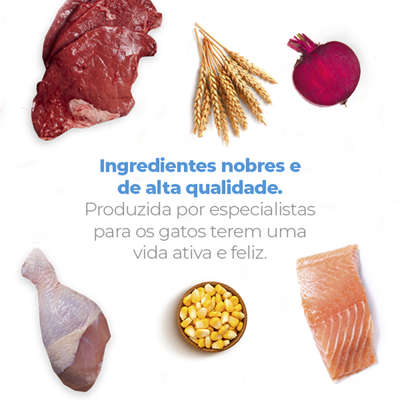 Ração Seca Fellina Life para Gatos Adultos