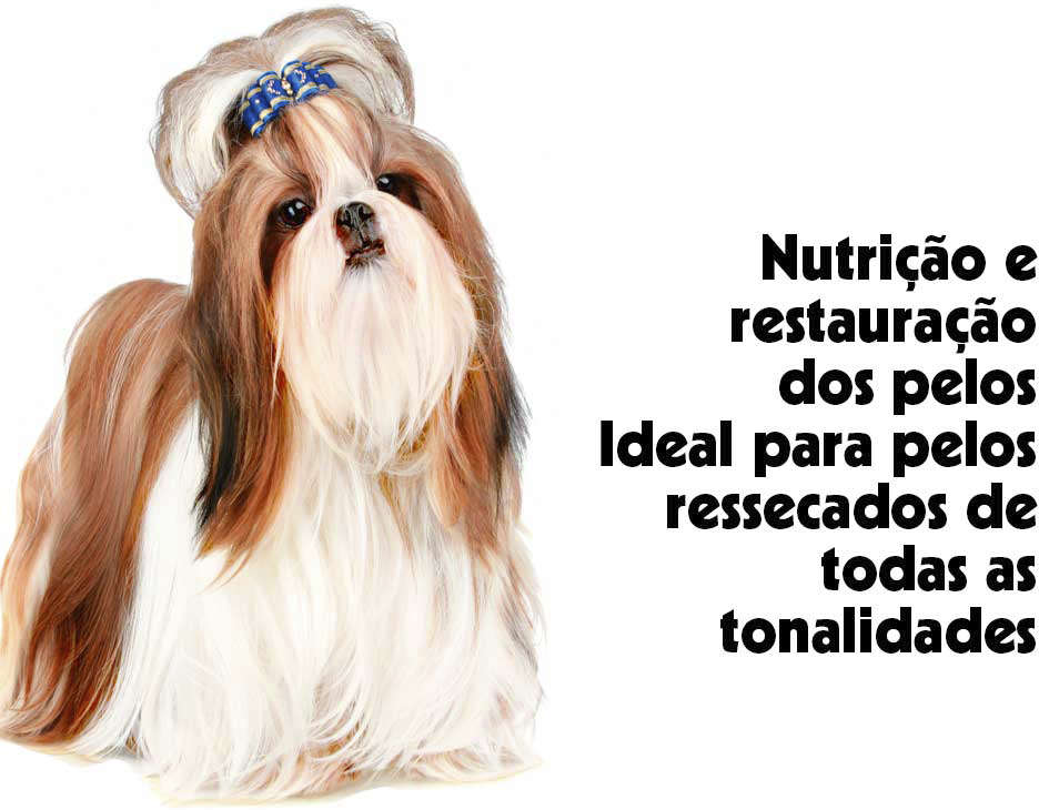Shampoo Pet Clean Bomba de Vitaminas para Cães e Gatos - 700 mL