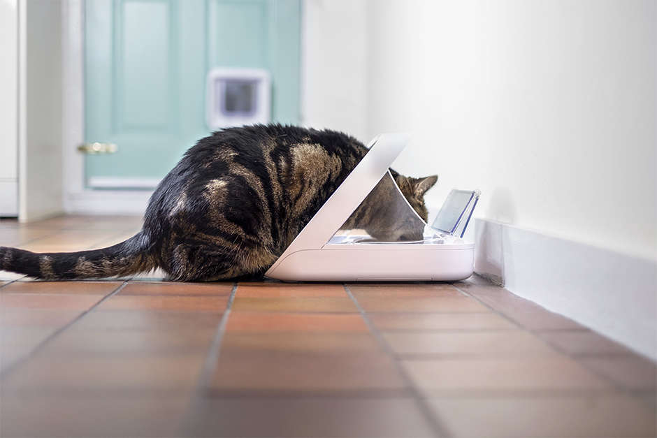 Comedouro Sure PetCare Feed Microchip Connect para Gatos - Tam. Único