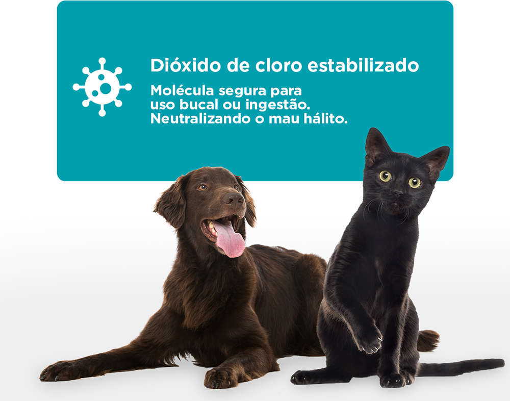 Antisséptico Soft Care Bucal Dental Splash oara Cães e Gatos - 100 mL
