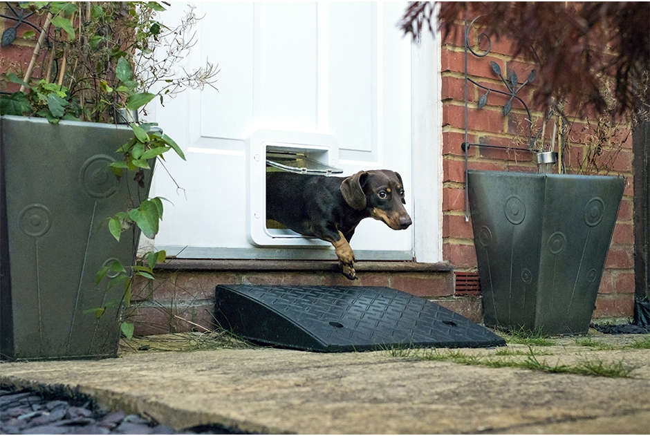 Porta Sure PetCare Flap Microchip Connect para Gatos - Tam. Único