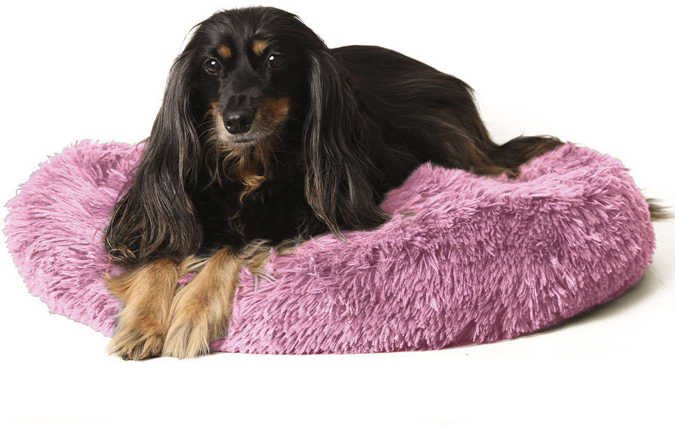 Cama Nuvem Meau Rosa - Tam. M