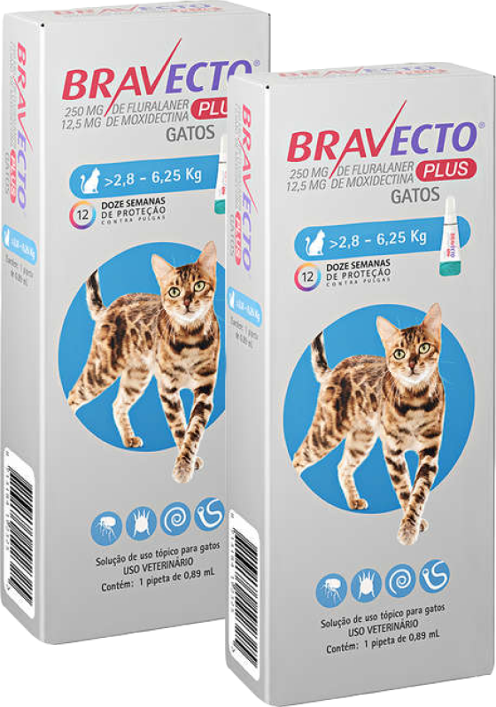 Antipulgas Bravecto Transdermal Plus 250 mg para Gatos de 2,8 a 6,25Kg - 2 Caixas (2 Pipetas)