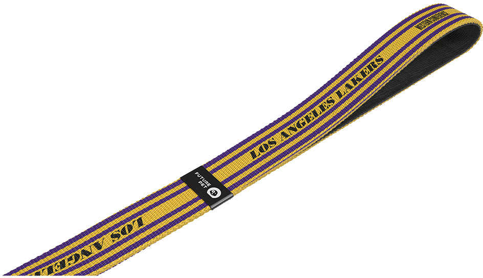 Guia com Amortecedor Future Pet NBA Lakers para Cães - Tam. P