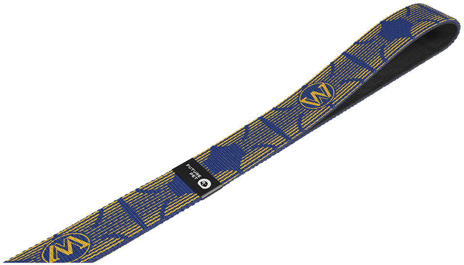 Guia com Amortecedor Future Pet NBA Golden State para Cães - Tam. P