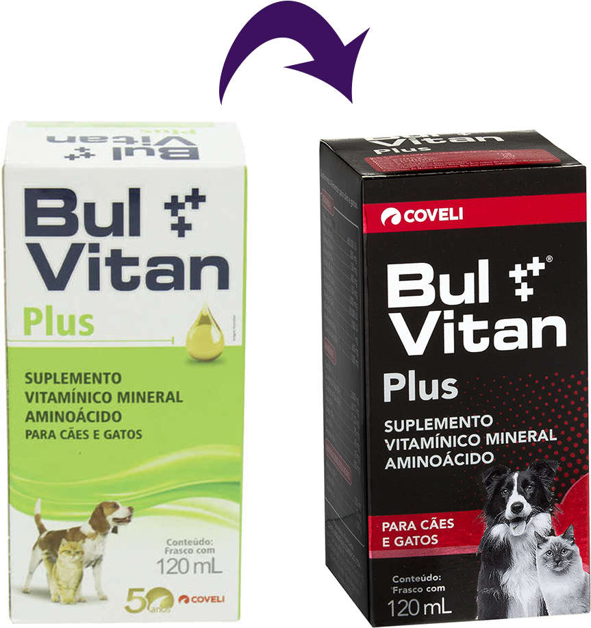 Bulvitan Plus Complexo Vitamínico - 120 mL