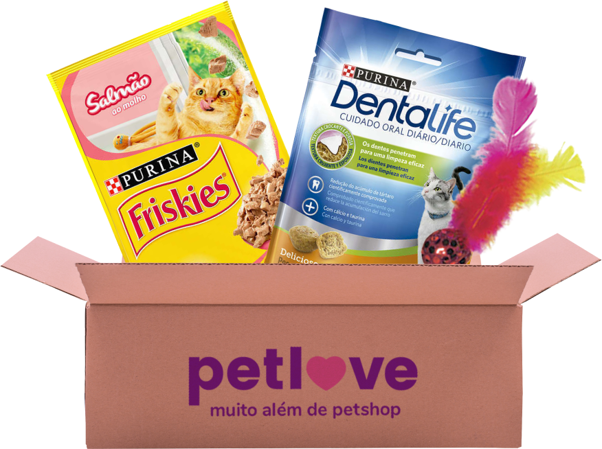 Kit Gato Basic - KIT