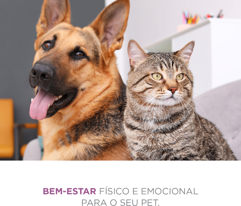 Spray Relaxante Pet Society Stress Away - 100 mL