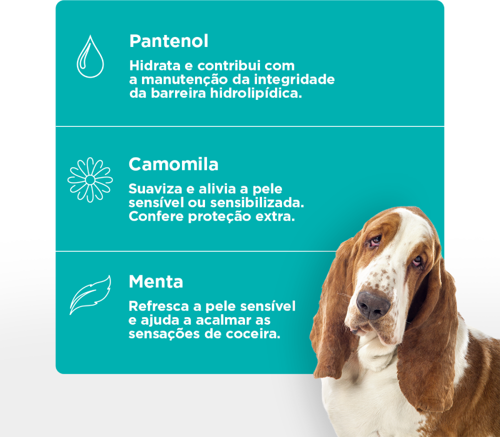 Solução Pet Society Soft Care Limpeza Auricular Oto Clean Up - 100 mL