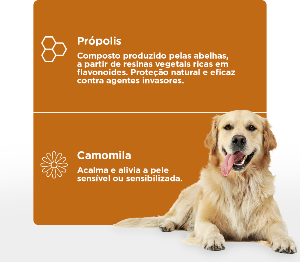 Spray Soft Care Propcalm para Higienização de Feridas - 100 mL