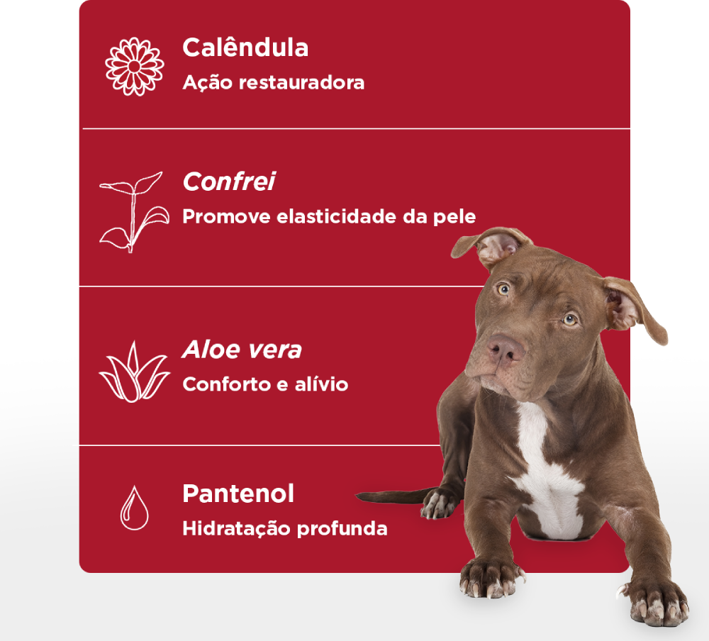 Loção Reestruturadora Soft Care Hidratante PSK Repair System - 50 g