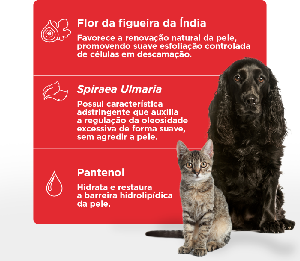 Shampoo Soft Care Skin Balance para Pele Oleosa e Ressecada - 300 mL