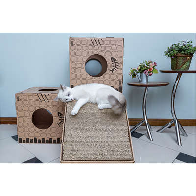 Brinquedo Arranhador de Papelão para Gatos