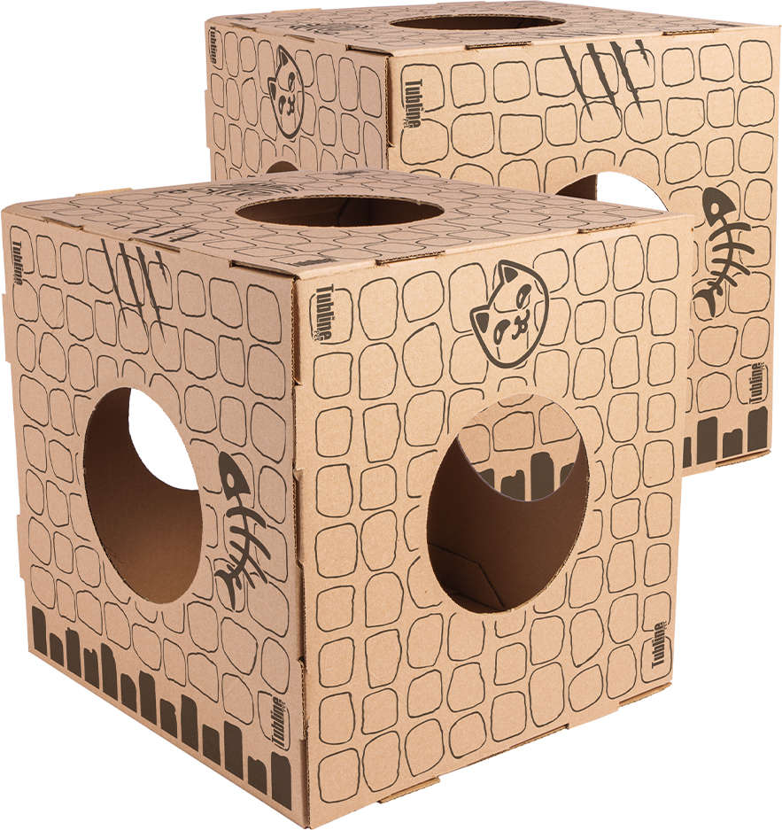 Brinquedo Cubo de Papelão para Gatos - 2 Unidades