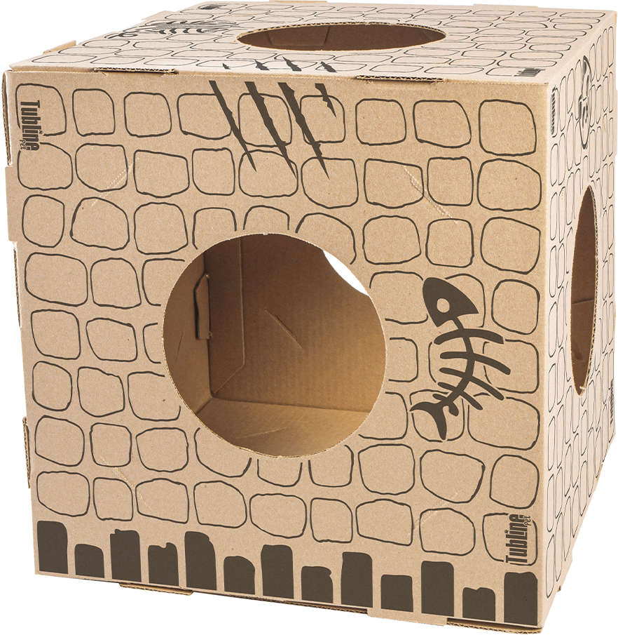 Brinquedo Cubo de Papelão para Gatos - 2 Unidades