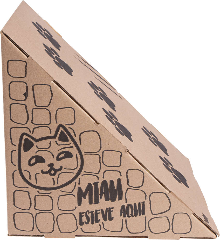 Brinquedo Cubo e Rampa de Papelão para Gatos - 2 Unidades