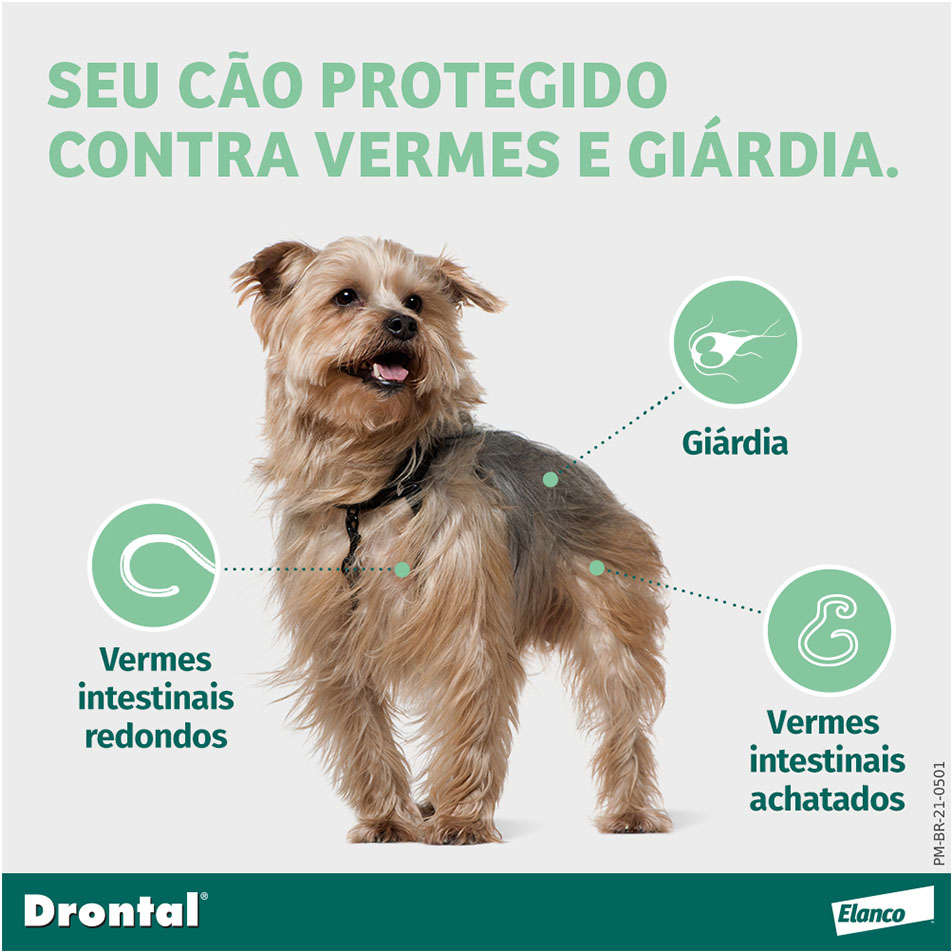 Vermífugo Elanco Drontal Plus Sabor Carne Cães 35Kg - 2 Comprimidos