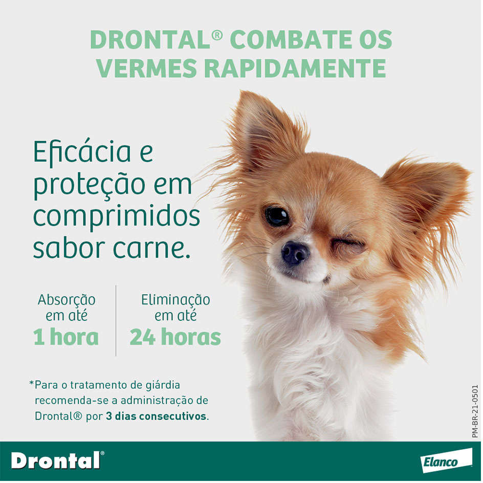 Vermífugo Elanco Drontal Plus Sabor Carne Cães 35Kg - 2 Comprimidos
