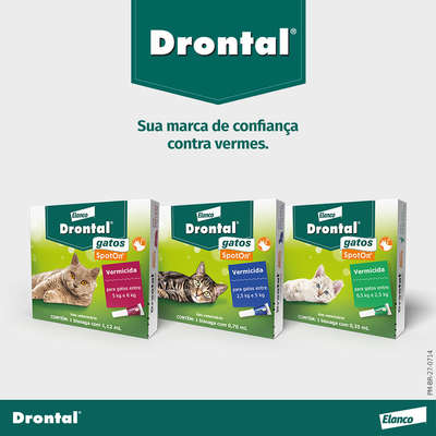 Vermífugo Drontal SpotOn para Gatos de 0,5 Kg a 2,5 Kg”