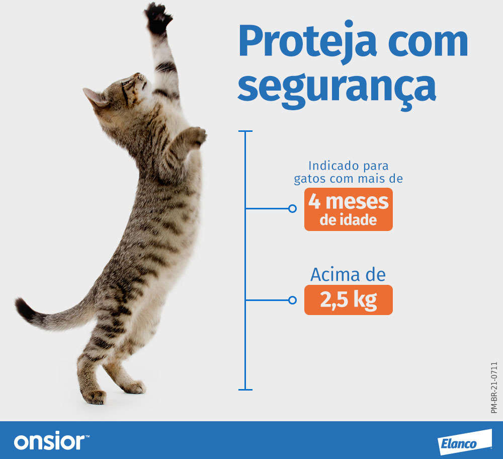 Anti-Inflamatório Elanco Onsior para Gatos acima de 2,5Kg - 6 mg
