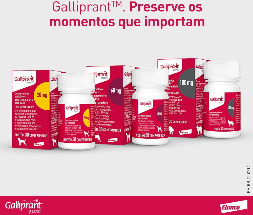 Anti-Inflamatório Elanco Galliprant 20 mg para Cães - 30 Comprimidos