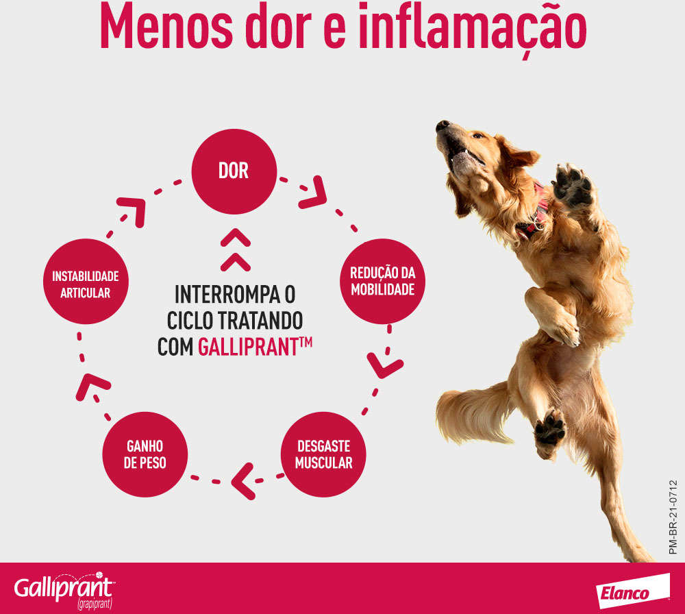 Anti-Inflamatório Elanco Galliprant 60 mg para Cães - 30 Comprimidos